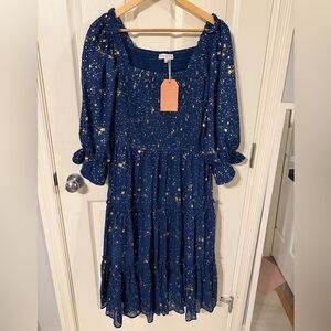 Ivy City Starry Blue Long Sleeve Dress Size XXL NWT